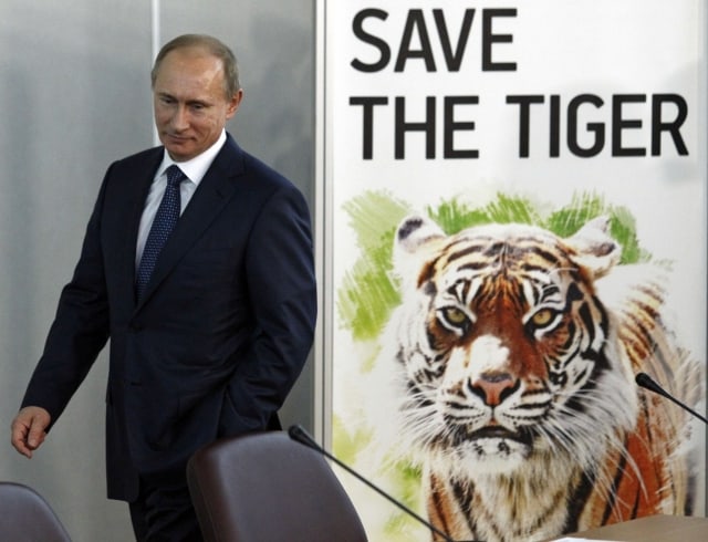 Russian Prime Minister Vladimir Putin attends the International Tiger Forum in St.Petersburg, Russia, Tuesday, Nov. 23, 2010. Officials from the 13 countries where tigers live in the wild have signed a declaration aimed at saving the iconic big cats from extinction.(AP Photo/Dmitry Lovetsky) 