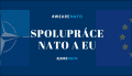 Přečtete si více ze článku Vývoj spolupráce mezi EU a NATO