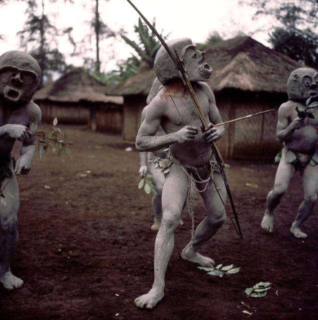 The undated picture shows three dancing, naked mudmen, wearing clay masks and bows and arrows in Papua New Guinea. The population of Papua New Guinea, consisting mainly of Papuas, is very diverse. The Papuas are hunters, collectors and cultivate crops such as yam, manioc and bananas. Bow and arrow are still in use as are stone axes and digging sticks. Pigs are very important as domesticated animals. Ever since proselytisation started around the turn of the century their culture and customs have come under severe pressure, yet people in the rural areas still wear their cloths made from natural material, use body paint and adorn themselves with the plums of birds for the old cult dance sing-sing. Photo: Werner Backhaus