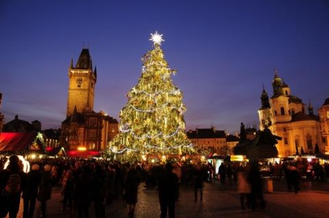 vánoční strom v Praze